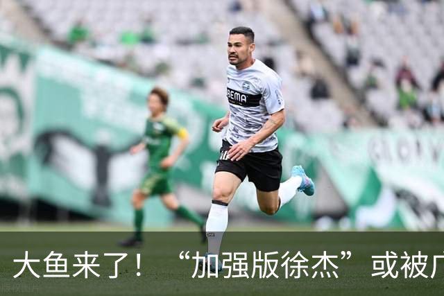 大鱼来了！“加强版徐杰”或被广东队挖走，男篮近年内最强双能卫