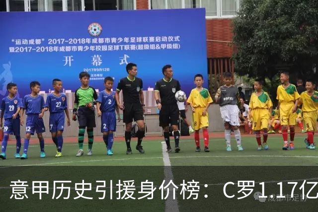 意甲历史引援身价榜：C罗1.17亿欧唯一过亿，伊瓜因9000万欧次席